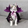 Halloween Cloak Festival Clothing Cat Clothes product image Halloween Cloak Festival Clothing Cat Clothes product image