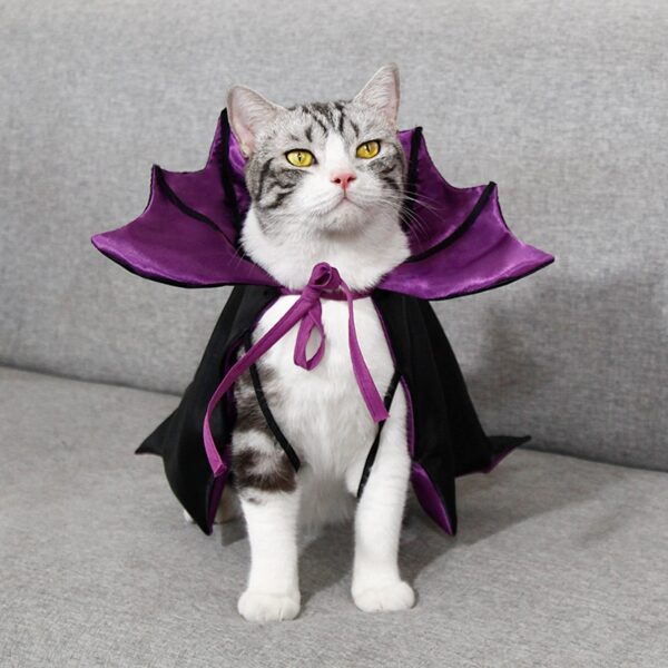 Halloween Cloak Festival Clothing Cat Clothes product image Halloween Cloak Festival Clothing Cat Clothes product image