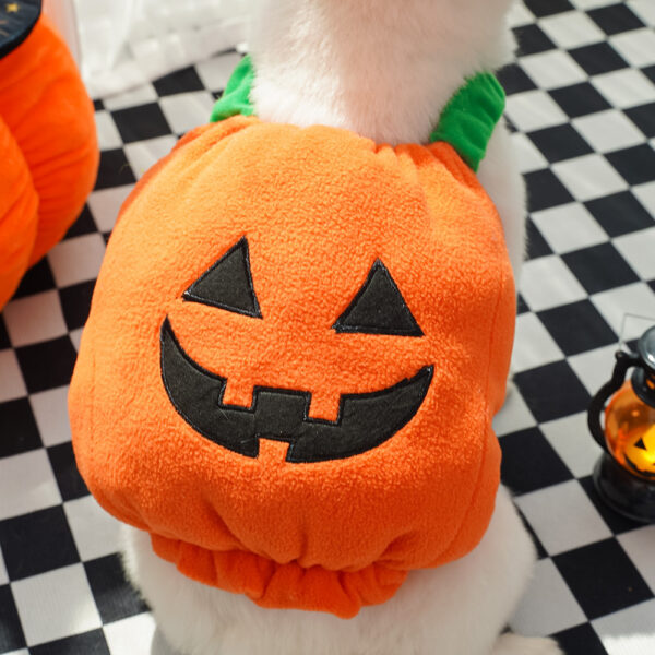 Halloween Pumpkin Costume for Dogs & Cats product image Halloween Pumpkin Costume for Dogs & Cats product image