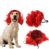 Halloween Pet Wig product image