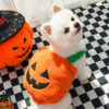 Halloween Pumpkin Costume for Dogs & Cats product image Halloween Pumpkin Costume for Dogs & Cats product image