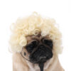 Halloween Pet Wig product image