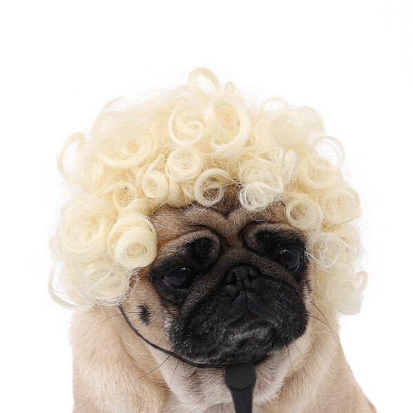 Halloween Pet Wig product image