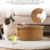 Magnetic Multi-Shape Cat Scratcher Toy product image Magnetic Multi-Shape Cat Scratcher Toy product image