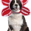 Halloween Dog Hat product image Halloween Dog Hat product image