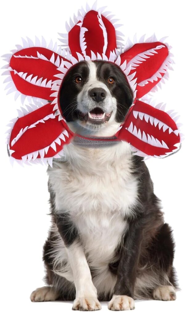 Halloween Dog Hat product image Halloween Dog Hat product image