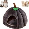 Pumpkin Cave Bed for Cats & Small Dogs product image Pumpkin Cave Bed for Cats & Small Dogs product image
