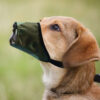 Waterproof Anti-Bite Dog Muzzle product image Waterproof Anti-Bite Dog Muzzle product image