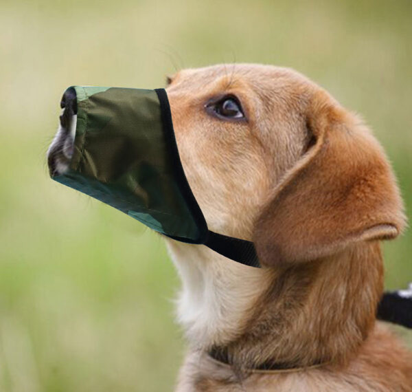 Waterproof Anti-Bite Dog Muzzle product image Waterproof Anti-Bite Dog Muzzle product image