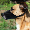Waterproof Anti-Bite Dog Muzzle product image Waterproof Anti-Bite Dog Muzzle product image