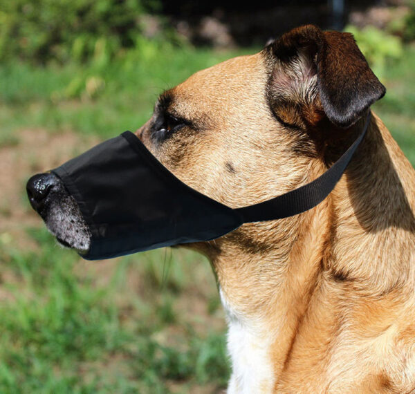 Waterproof Anti-Bite Dog Muzzle product image Waterproof Anti-Bite Dog Muzzle product image