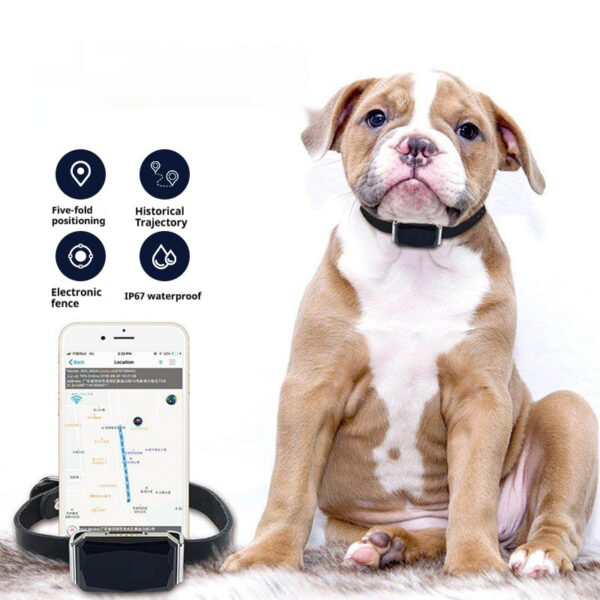 G12 Pet Navigator Locator G12 Pet Navigator Locator
