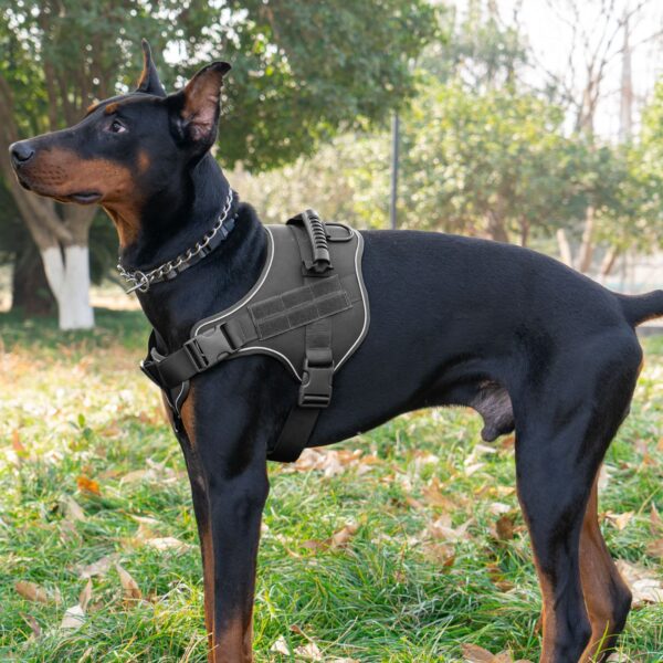 Tactical Dog Harness, Leash and Collar Set product image