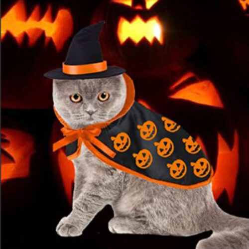 Halloween Pet Cloak Halloween Pet Cloak