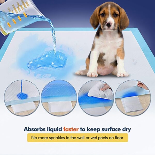 Absorbent Dog Hygiene Pads – S to 2XL product image Absorbent Dog Hygiene Pads – S to 2XL product image