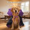 Fashion Personality Halloween Pet Transformation Clothes Fashion Personality Halloween Pet Transformation Clothes