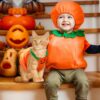Halloween Pumpkin Costume for Dogs & Cats product image Halloween Pumpkin Costume for Dogs & Cats product image
