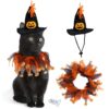 Halloween Hat and Collar Set for Cats and Small Dogs product image Halloween Hat and Collar Set for Cats and Small Dogs product image