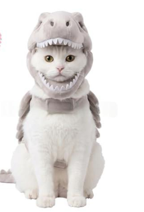 Dinosaur Skeleton Pet Costume Halloween Cat Hoodie product image Dinosaur Skeleton Pet Costume Halloween Cat Hoodie product image