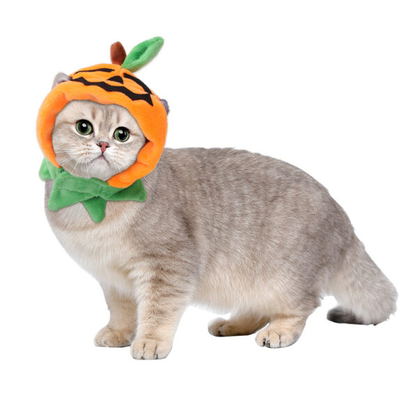 Halloween Pumpkin Pet Cloak product image