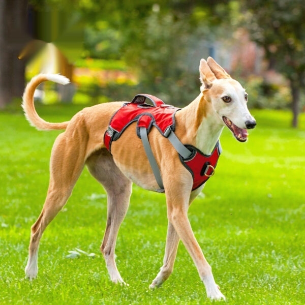 Outdoor Vest-Style Dog Harness Outdoor Vest-Style Dog Harness