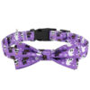 Halloween Dog Collar product image