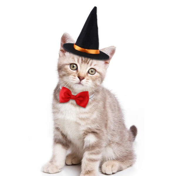 Halloween Pet Suit with Wizard Hat and Bow Tie product image Halloween Pet Suit with Wizard Hat and Bow Tie product image