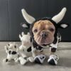Halloween Hat for Dogs product image