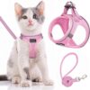 Adjustable Dog and Cat Harness Vest with Leash product image