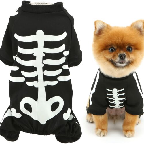 Halloween Costume for Dogs