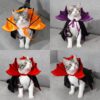Halloween Cloak Festival Clothing Cat Clothes Halloween Cloak Festival Clothing Cat Clothes