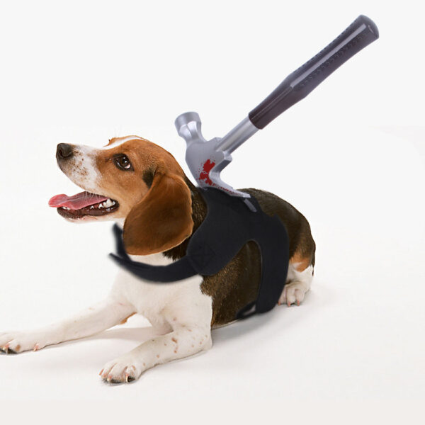 Halloween Pet Chest Costume product image Halloween Pet Chest Costume product image