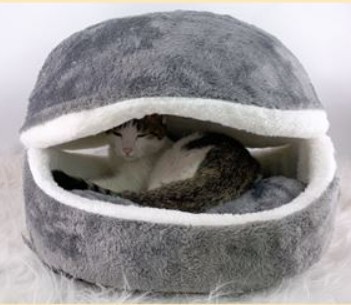 Kennel for Dogs & Cats product image Kennel for Dogs & Cats product image