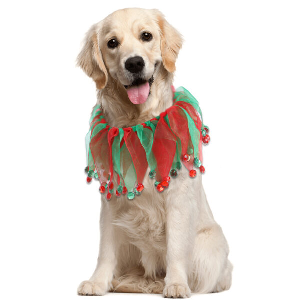 Tie-Dye Pet Collar product image Tie-Dye Pet Collar product image