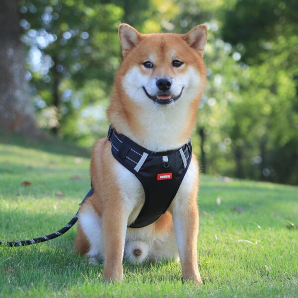 Reflective Dog Harness Reflective Dog Harness