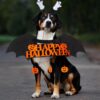Halloween Bat Costume for Dogs & Cats product image Halloween Bat Costume for Dogs & Cats product image
