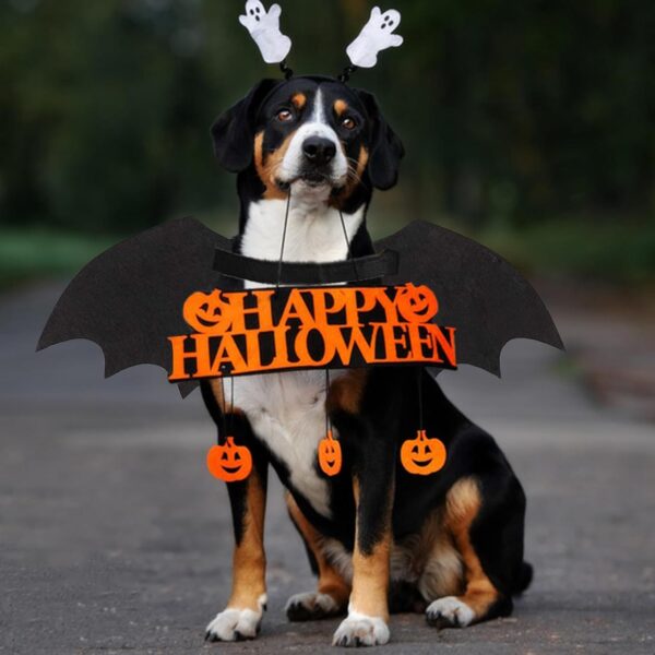 Halloween Bat Costume for Dogs & Cats product image Halloween Bat Costume for Dogs & Cats product image