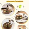 Magnetic Multi-Shape Cat Scratcher Toy product image Magnetic Multi-Shape Cat Scratcher Toy product image